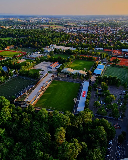 到了赛车文 到了赛车文