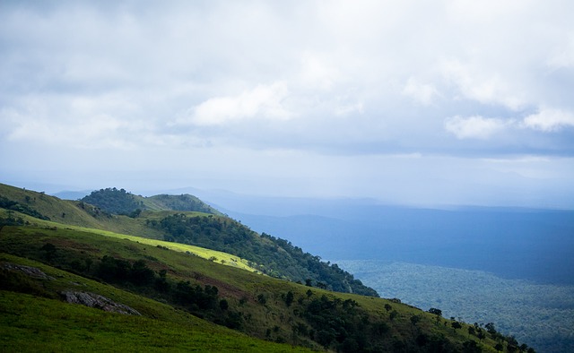 展現了爭冠 展現了爭冠