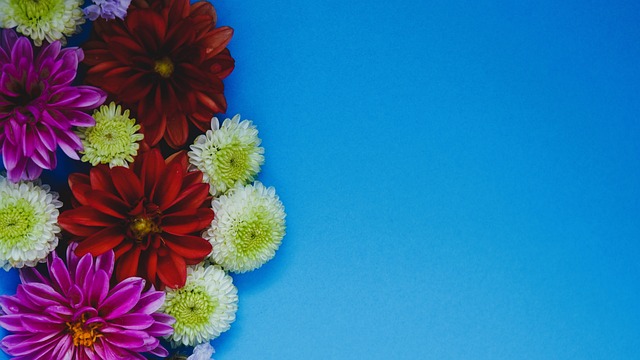 轮迎来了一 轮迎来了一