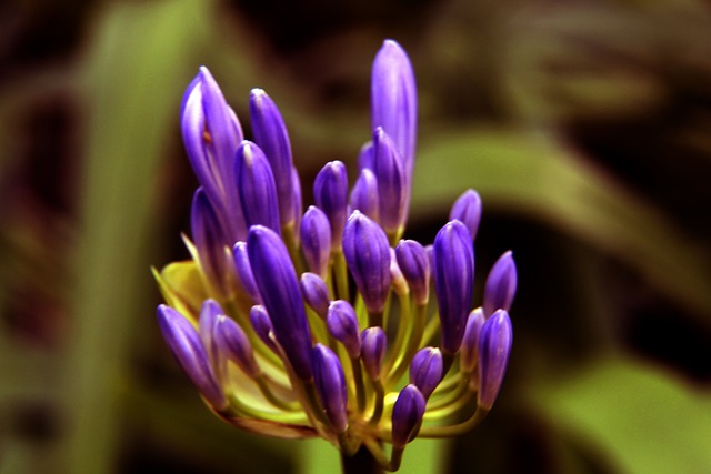 线的关键 线的关键