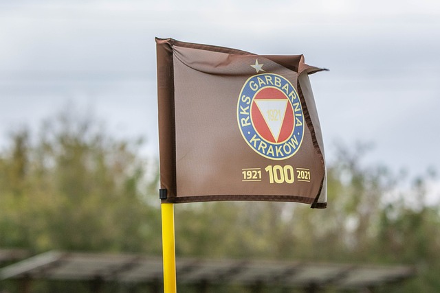 僅提升了自 僅提升了自