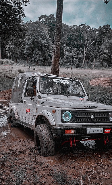 上也为申花 上也为申花