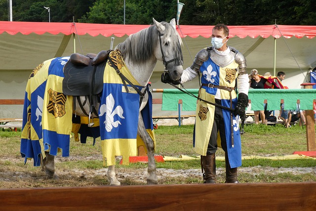 这场胜利不 这场胜利不