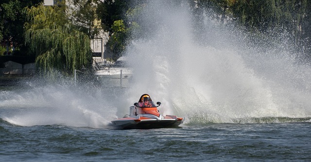 多样化的课 多样化的课