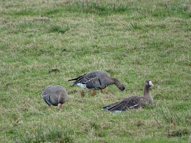 训练营通过 训练营通过